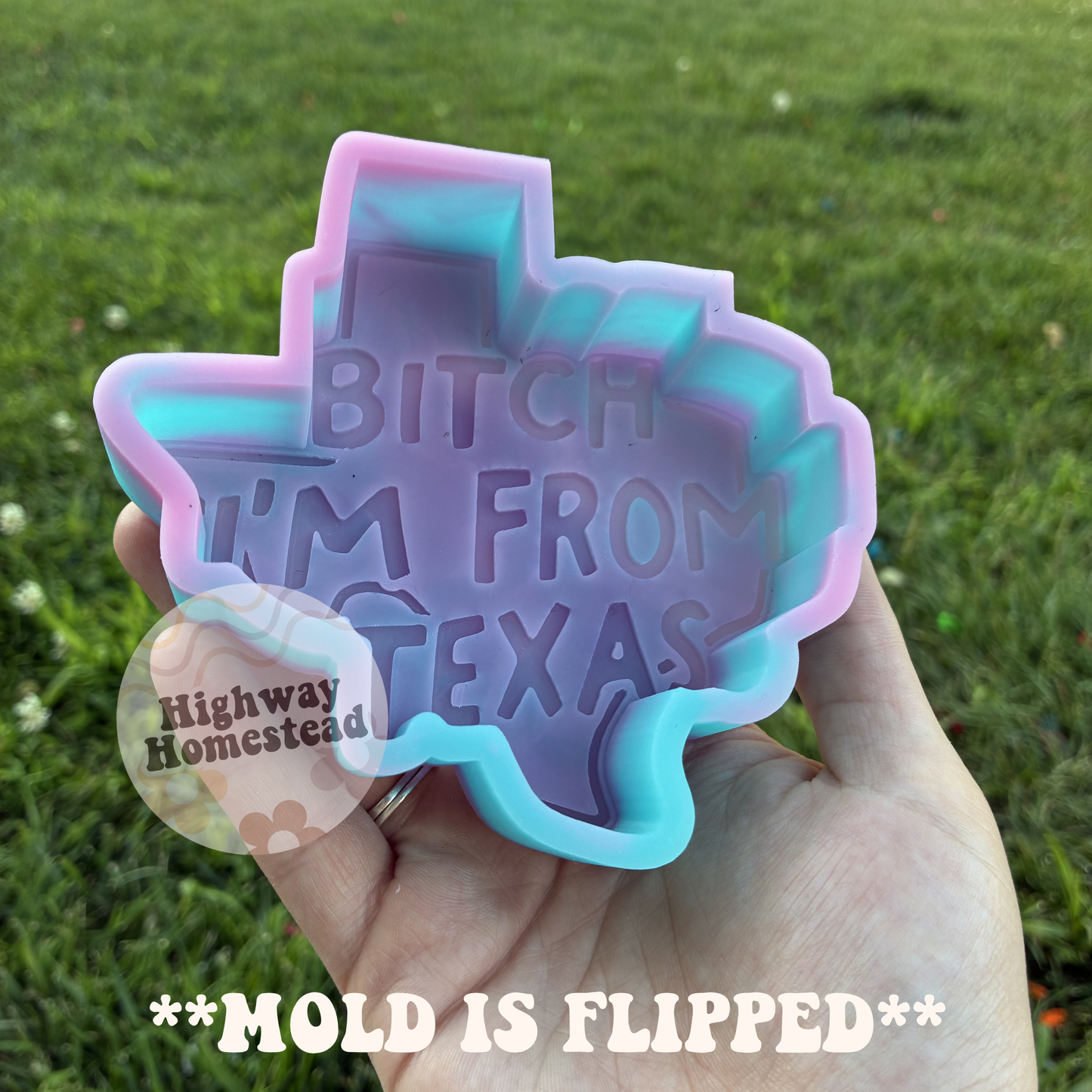 Bitch I’m From Texas Freshie Mold