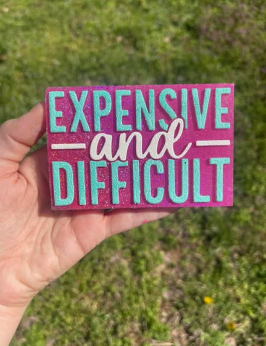 Expensive and Difficult Freshie Mold