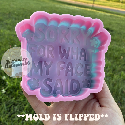 Sorry For What My Face Said Freshie Mold