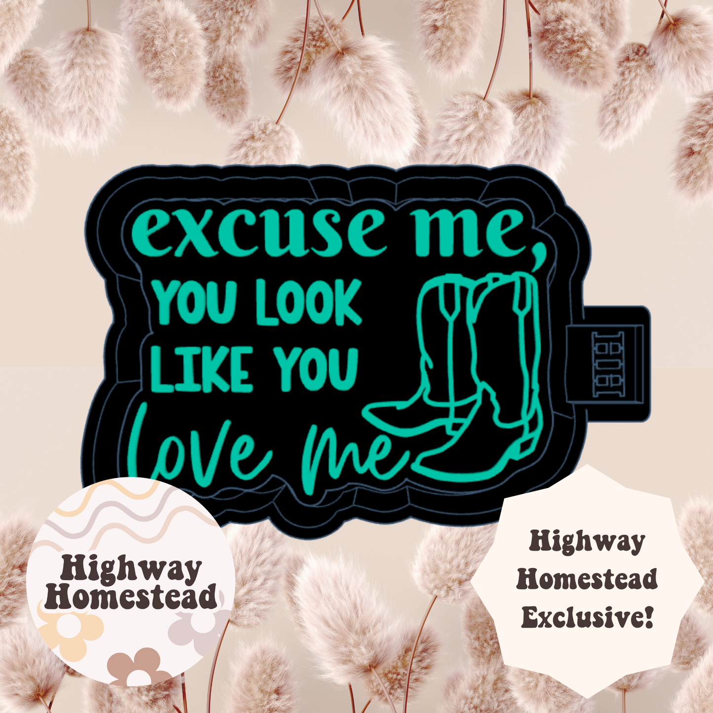 Excuse Me You Look Like You Love Me Freshie Mold - HH Exclusive
