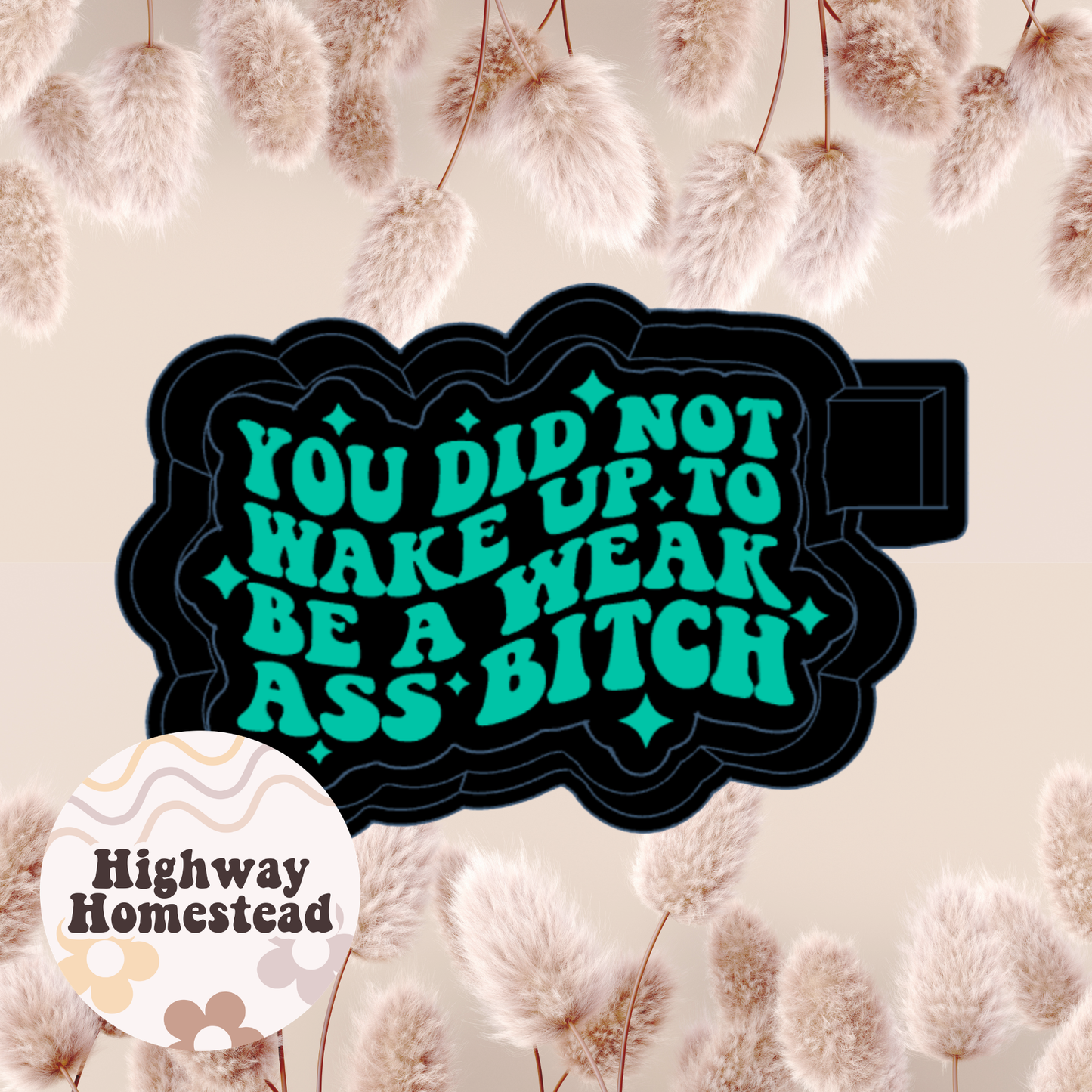 You Did Not Wake to be a Weak Ass Bitch Freshie Mold