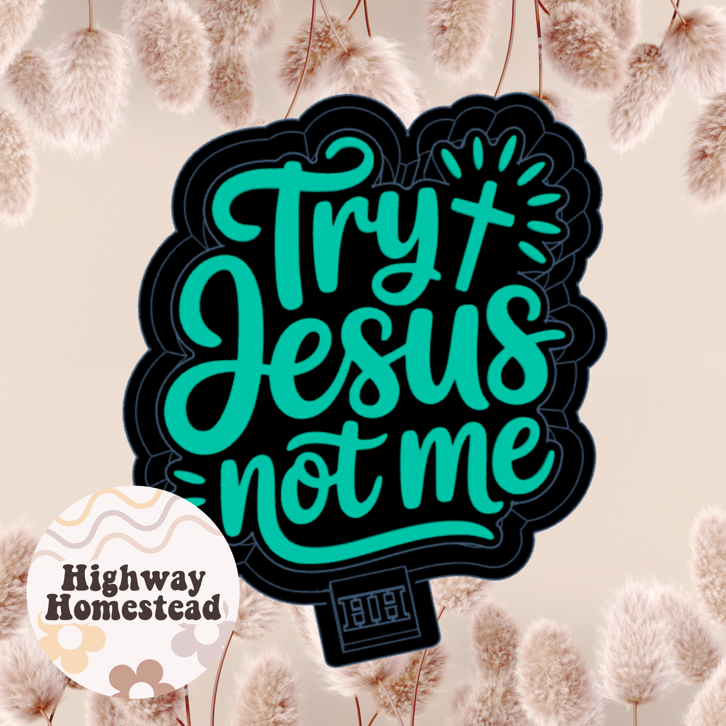 Try Jesus Not Me Freshie Mold