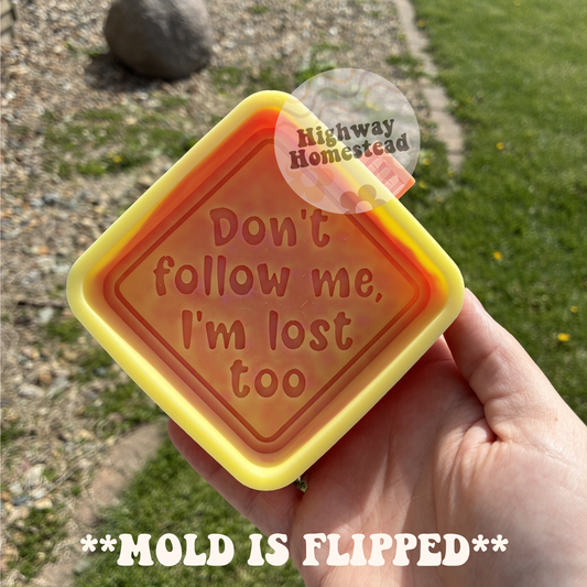 Don't Follow Me, I'm Lost Too Freshie Mold - HH Exclusive
