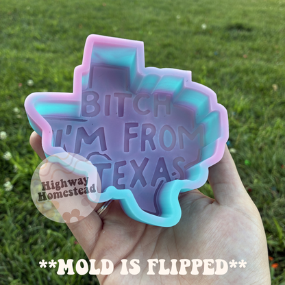 Bitch I’m From Texas Freshie Mold