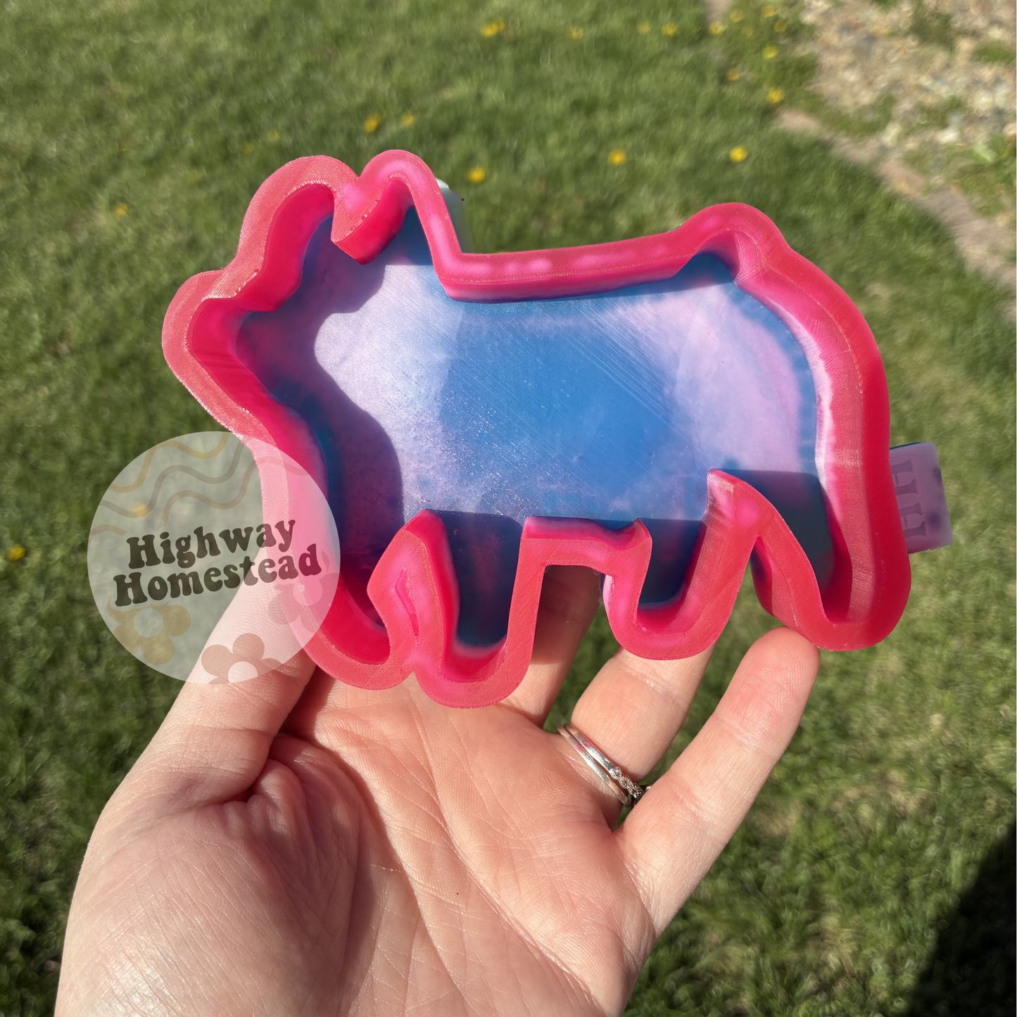 Pig Freshie Mold