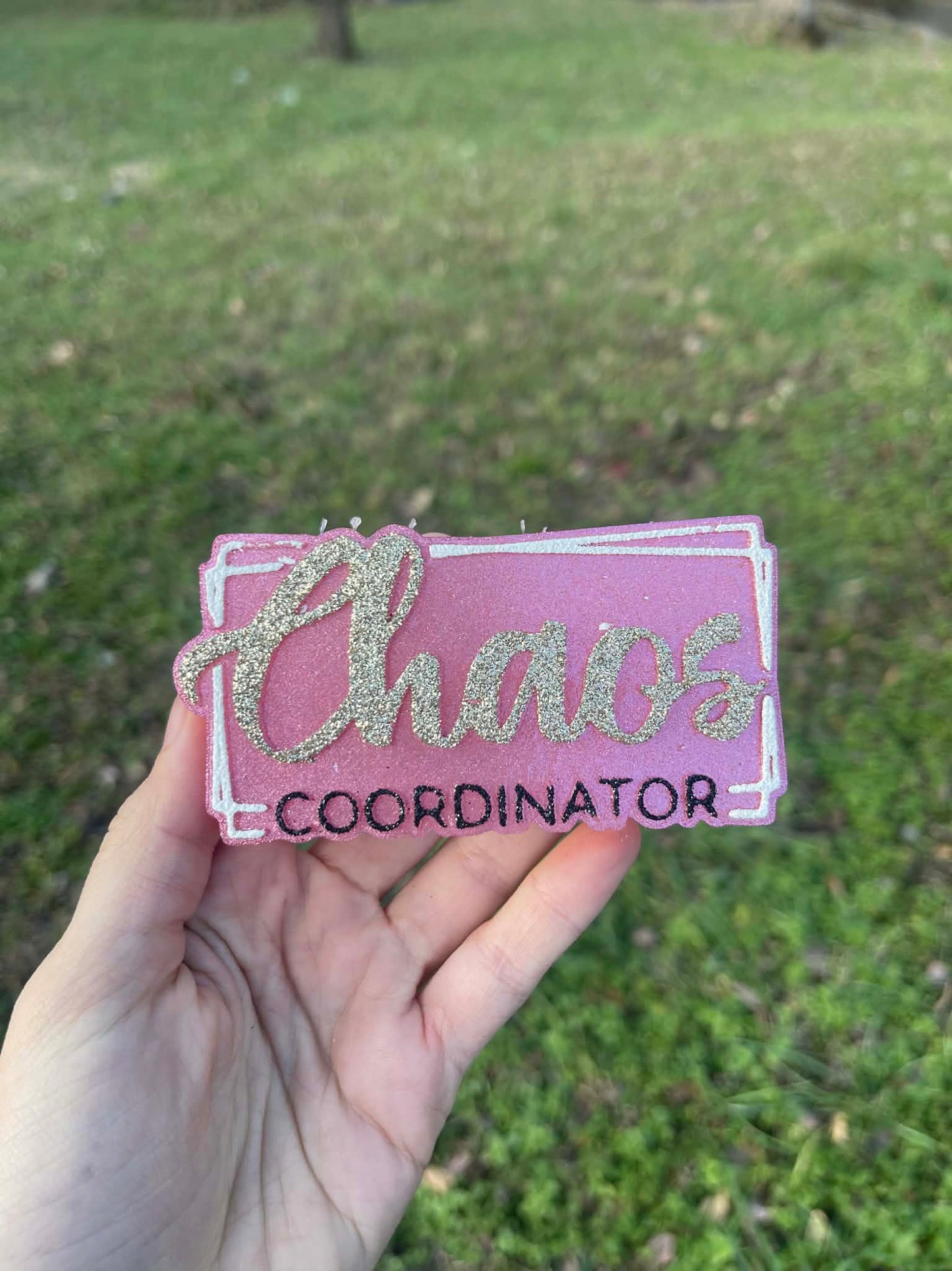 Chaos Coordinator Freshie Mold