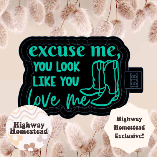 Excuse Me You Look Like You Love Me Freshie Mold - HH Exclusive