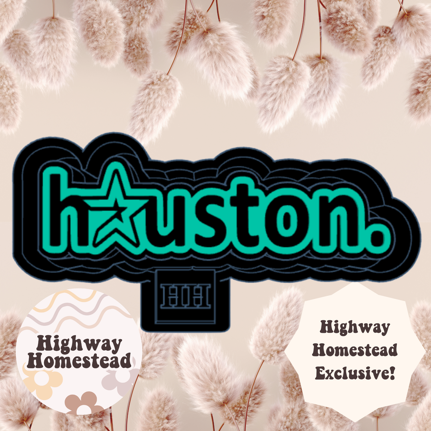 Houston with a Star Freshie Mold - HH Exclusive