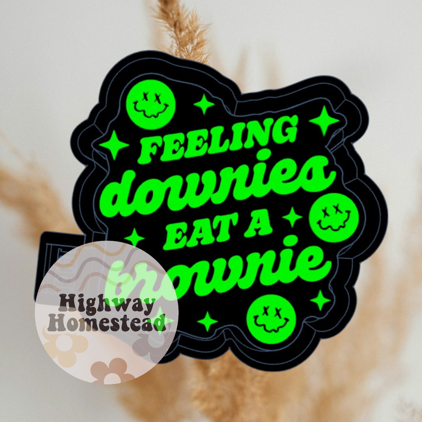 Feeling Downsies Eat a Brownie Freshie Mold