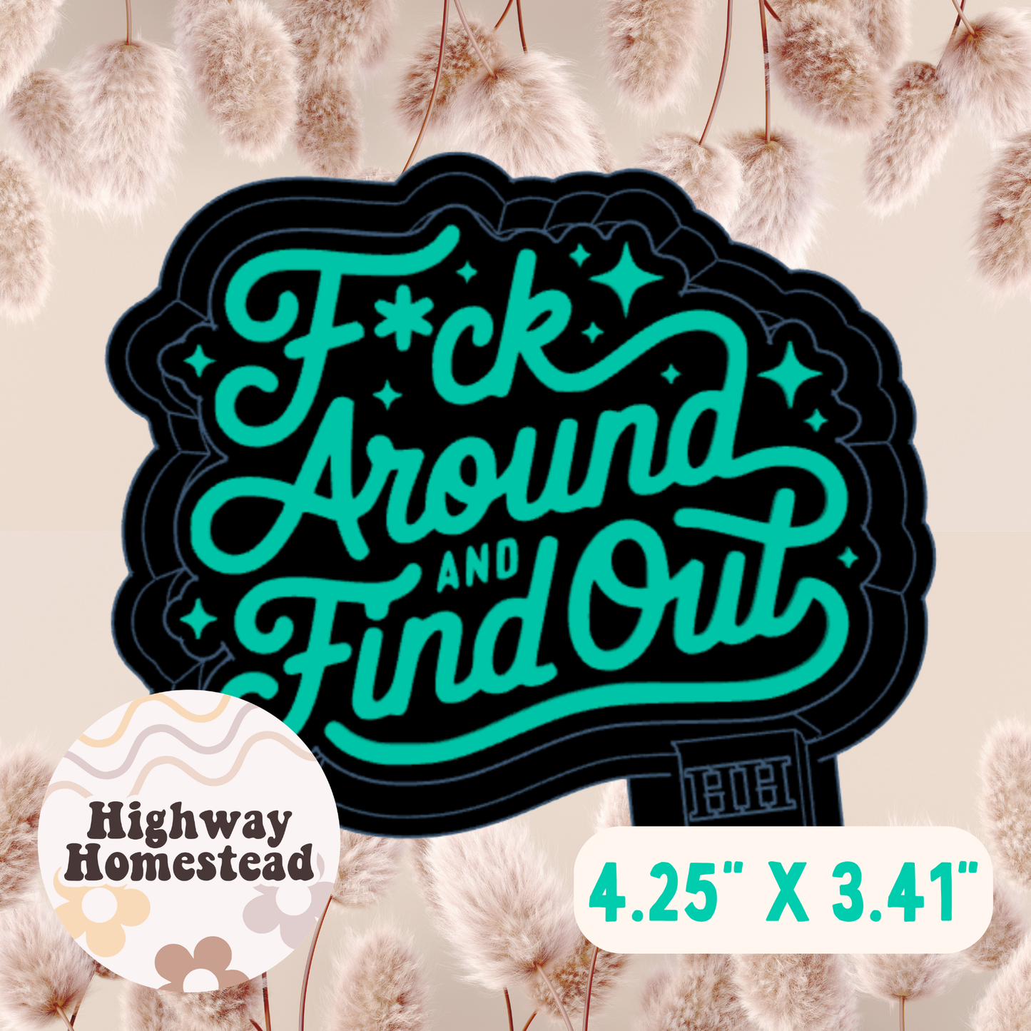Fuck Around and Find Out Cursive Freshie Mold