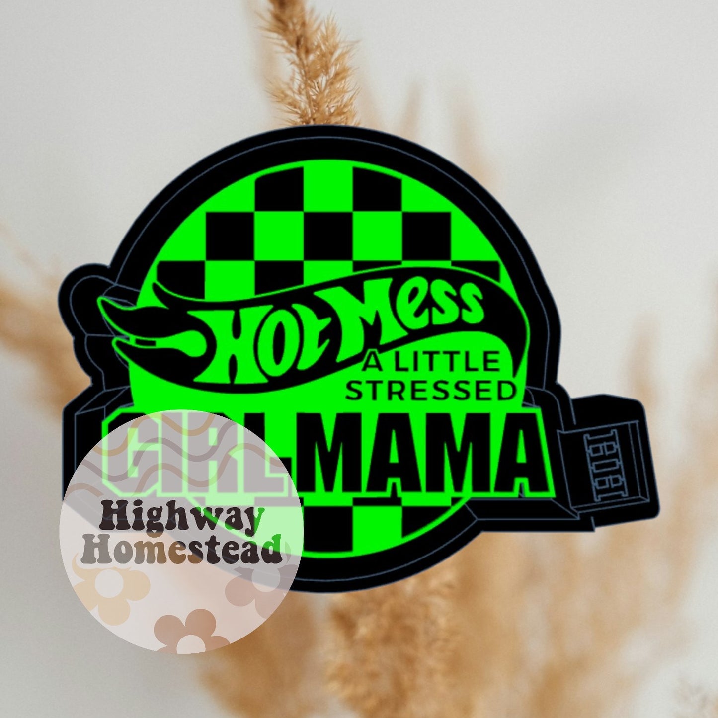 Hot Mess Boy/Girl Mama Freshie Mold