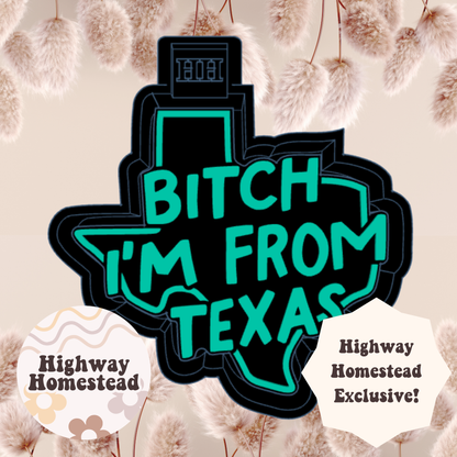 Bitch I’m From Texas Freshie Mold