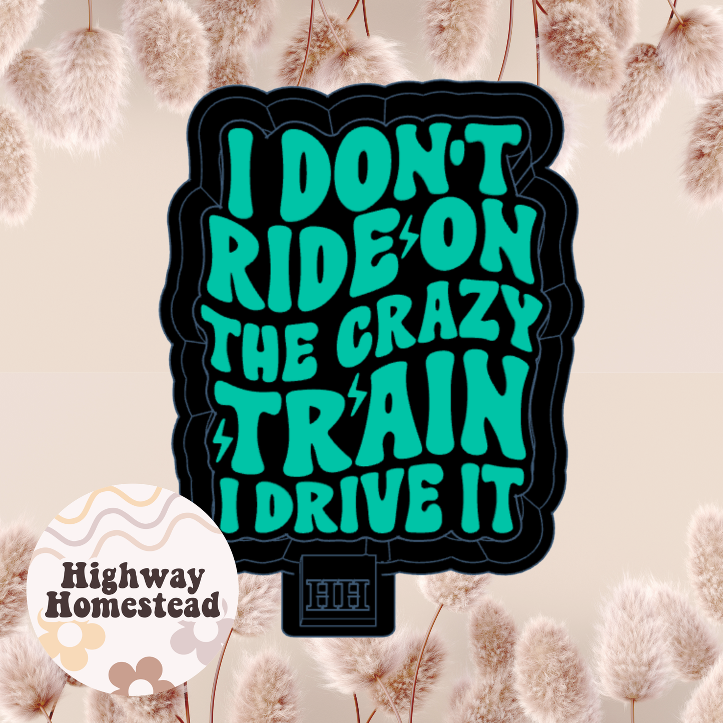 I Don't Ride the Crazy Train Freshie Mold