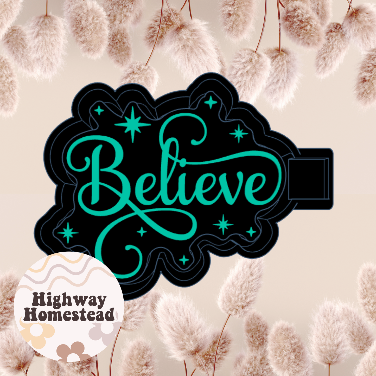 Believe Freshie Mold