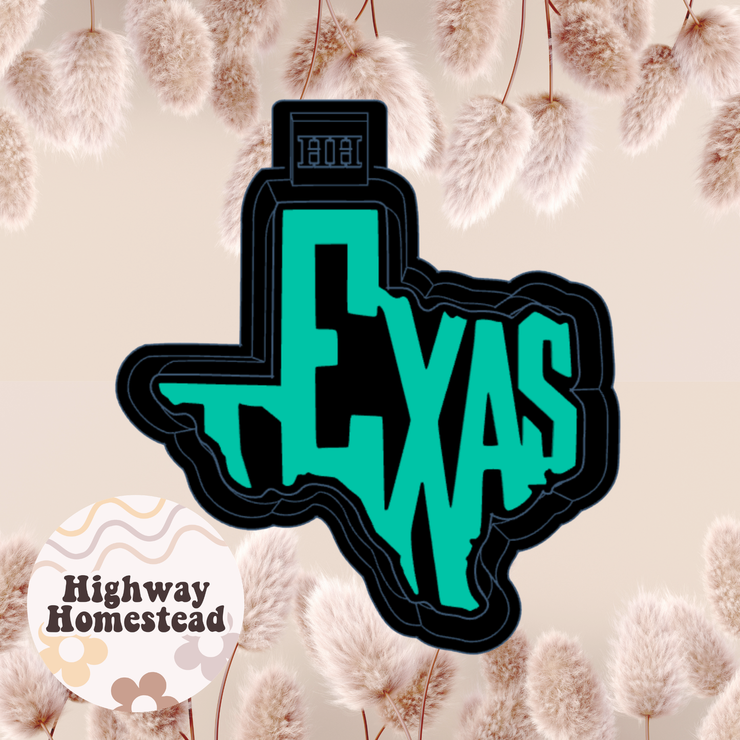 Texas State with Letters Freshie Mold