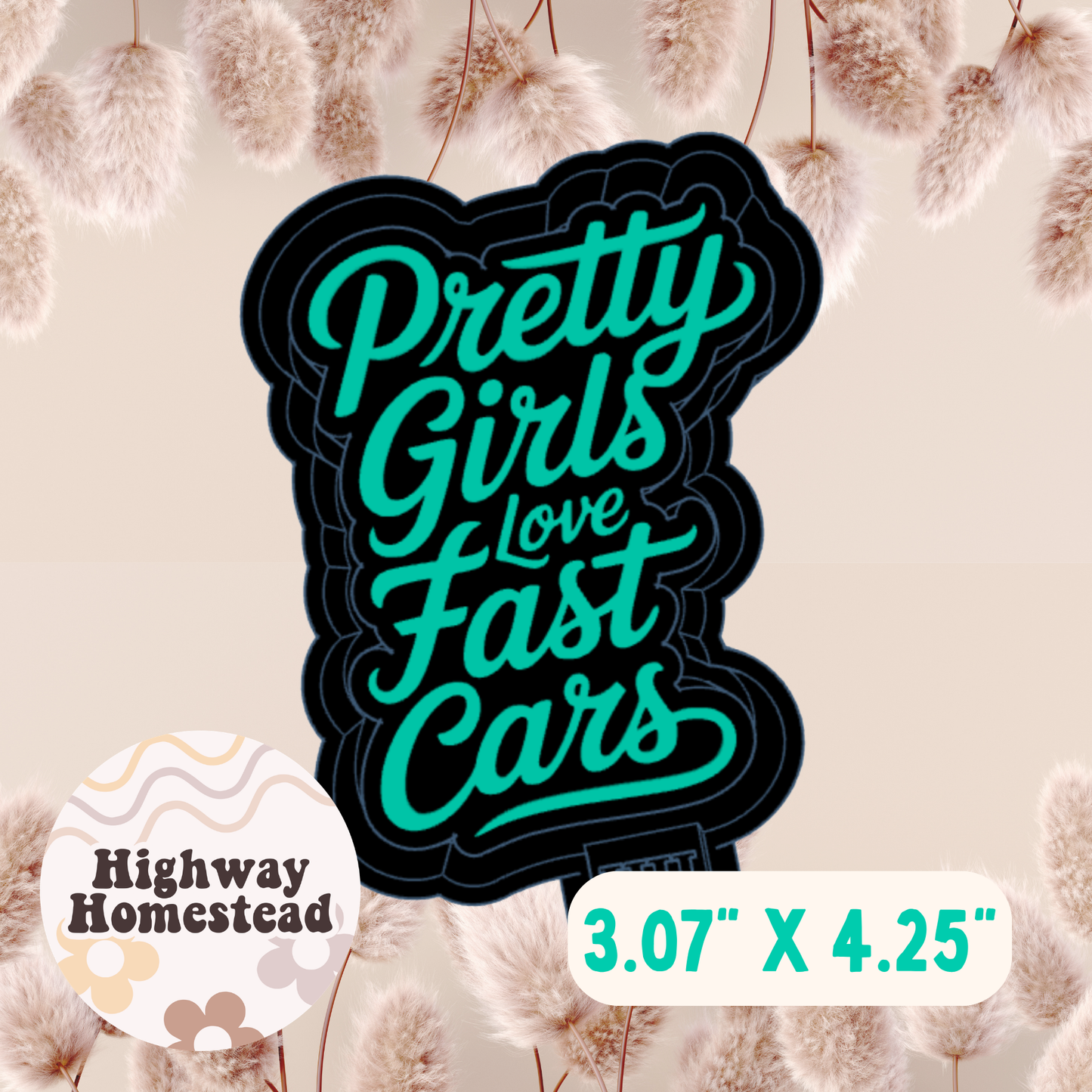 Pretty Girls Love Fast Cars Freshie Mold