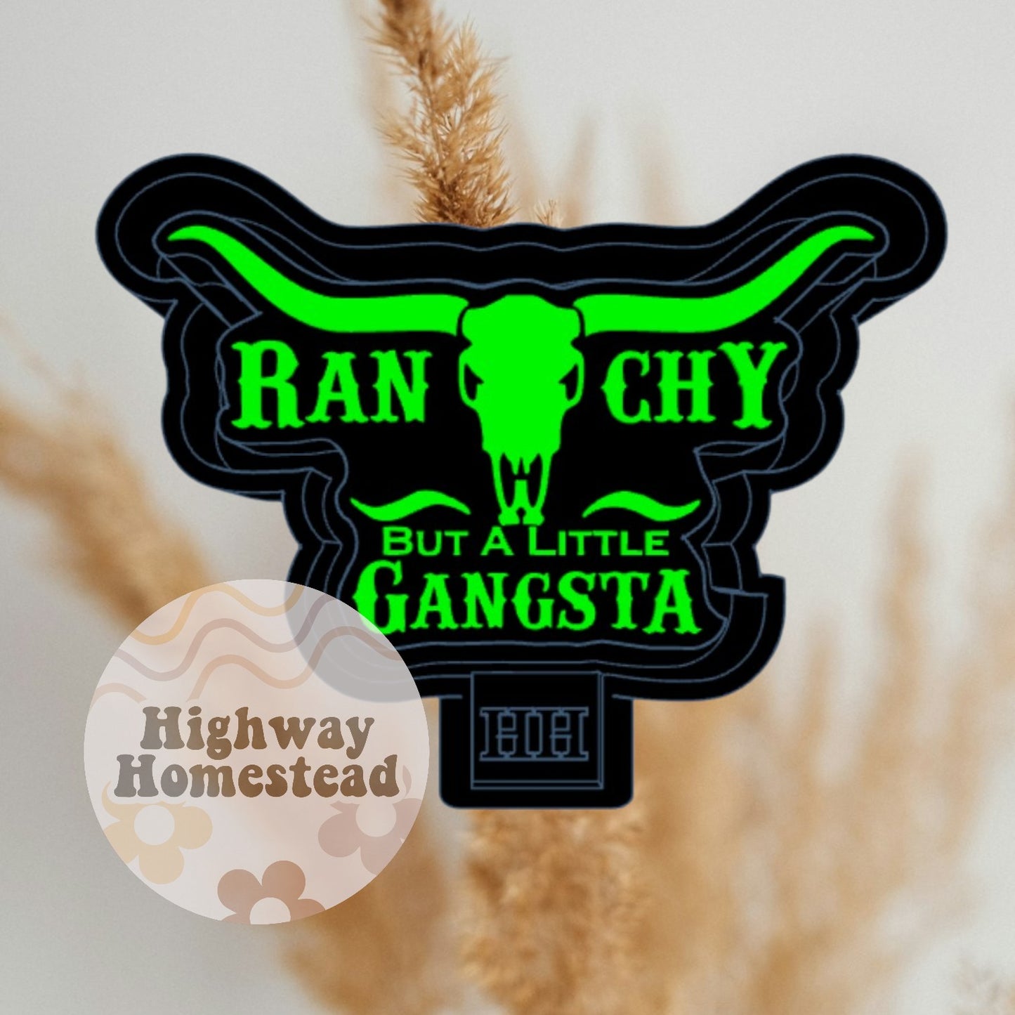 Ranchy but a Little Gangsta Freshie Mold