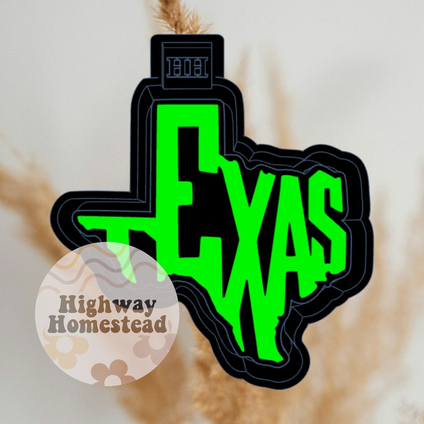 Texas Letters Freshie Mold