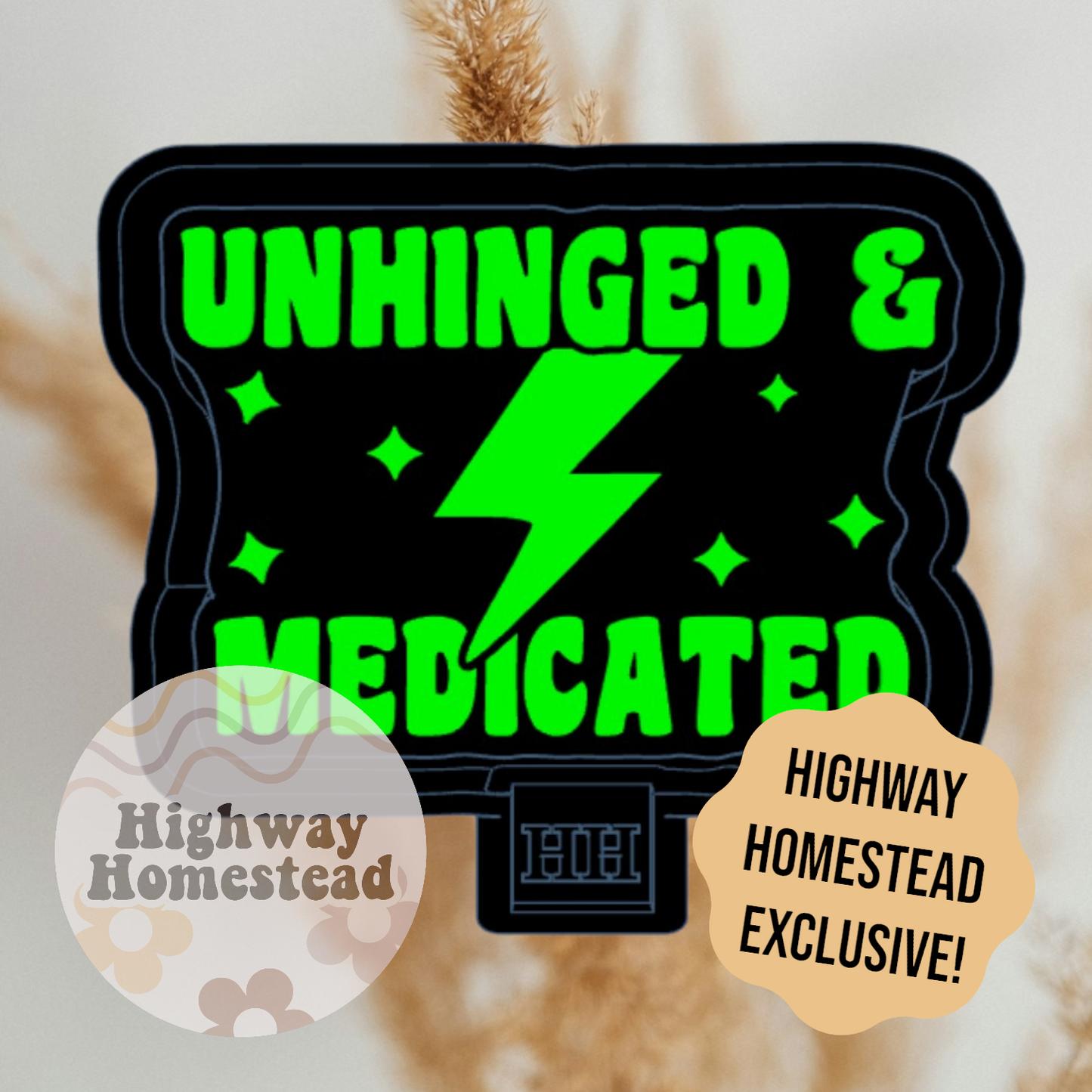 Unhinged & Unmedicated Freshie Mold